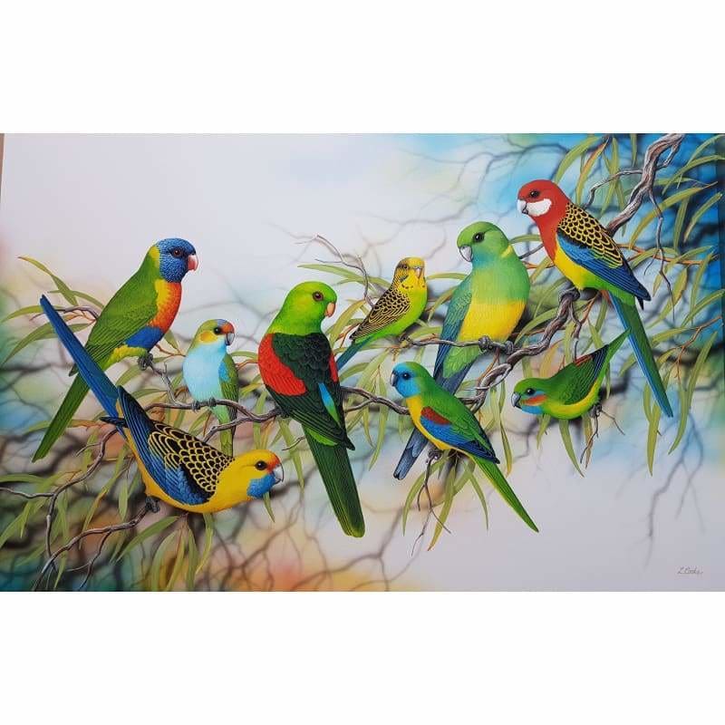 Australian Parrots Kit