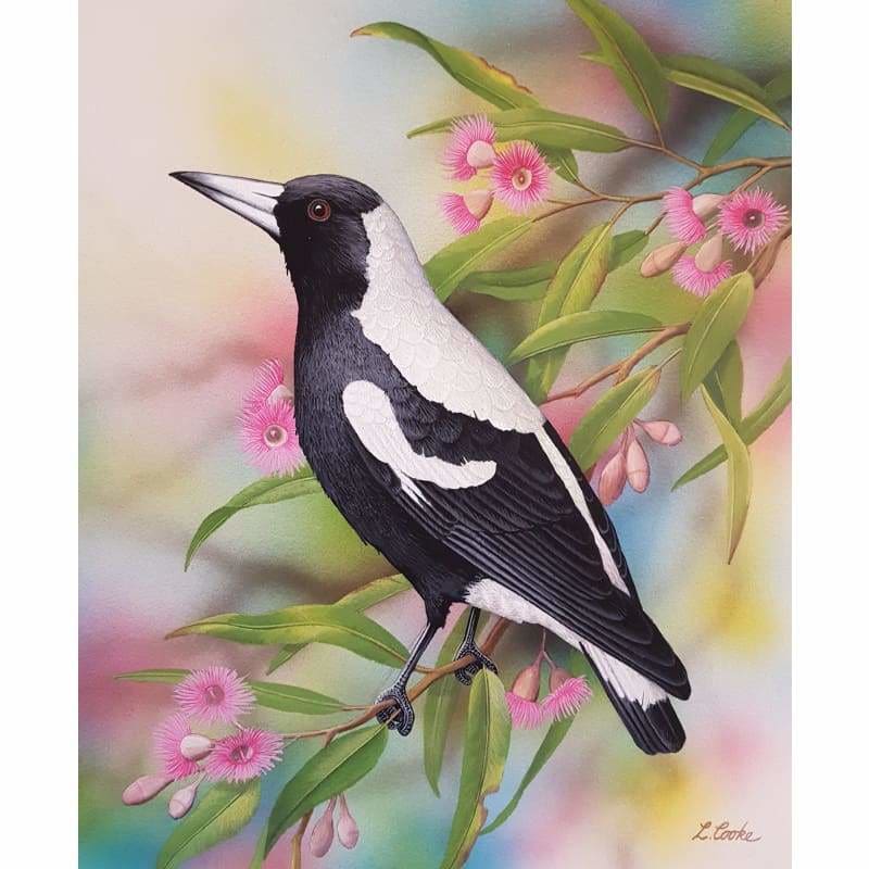 Magpie Kit