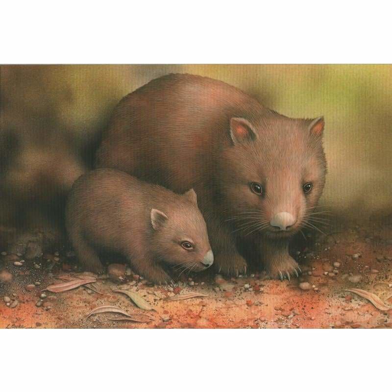 Wombats Kit