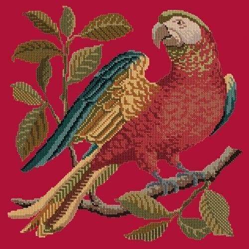 Alister the Parrot - NEEDLEWORK KITS