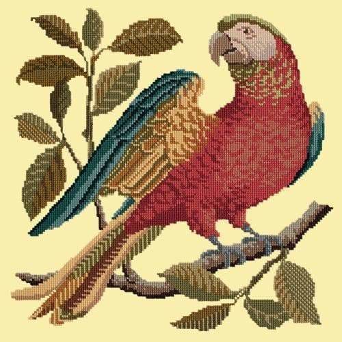 Alister the Parrot - NEEDLEWORK KITS