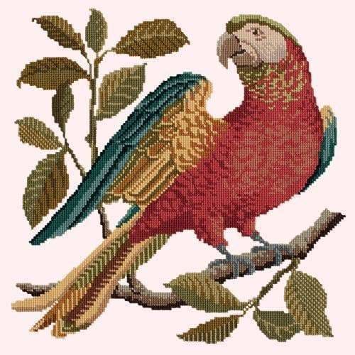 Alister the Parrot - NEEDLEWORK KITS