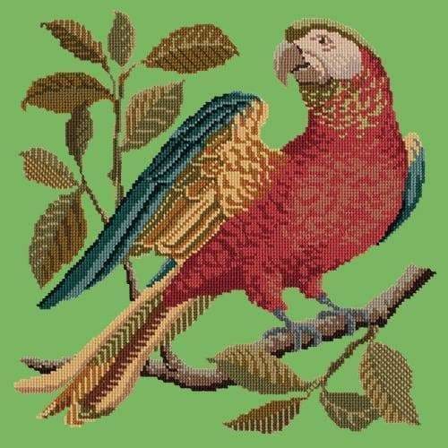 Alister the Parrot - NEEDLEWORK KITS