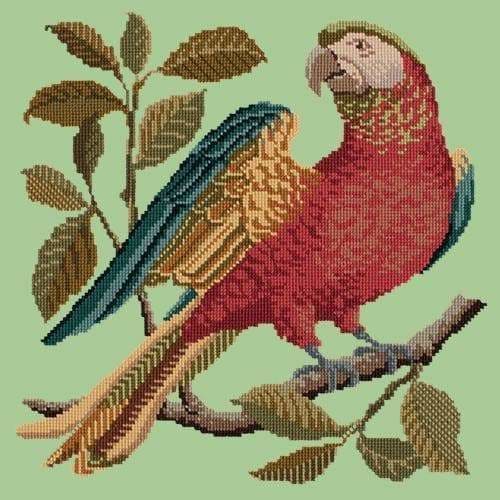 Alister the Parrot - NEEDLEWORK KITS