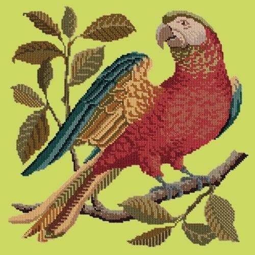 Alister the Parrot - NEEDLEWORK KITS