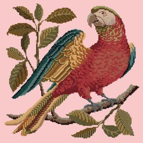 Alister the Parrot - NEEDLEWORK KITS