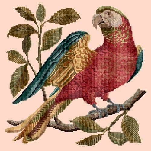 Alister the Parrot - NEEDLEWORK KITS