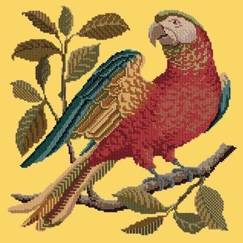 Alister the Parrot - NEEDLEWORK KITS