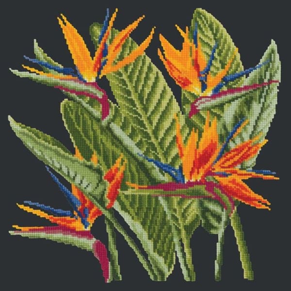 Bird of Paradise - NEEDLEWORK KITS