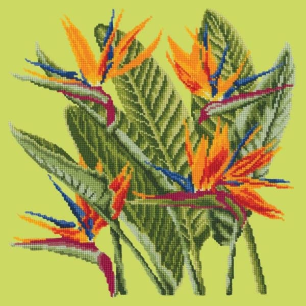 Bird of Paradise - NEEDLEWORK KITS