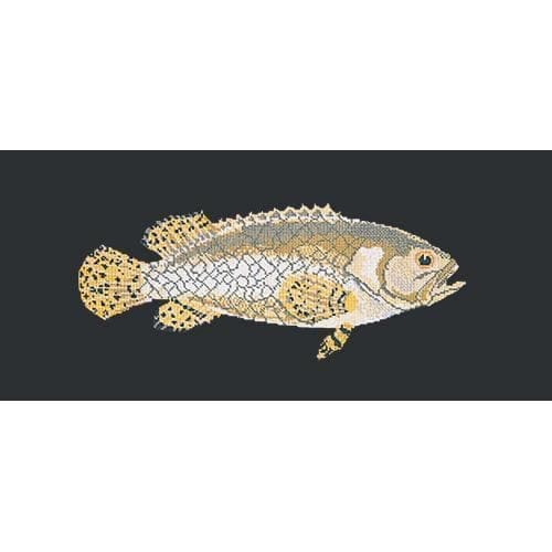 Brindled Grouper - NEEDLEWORK KITS
