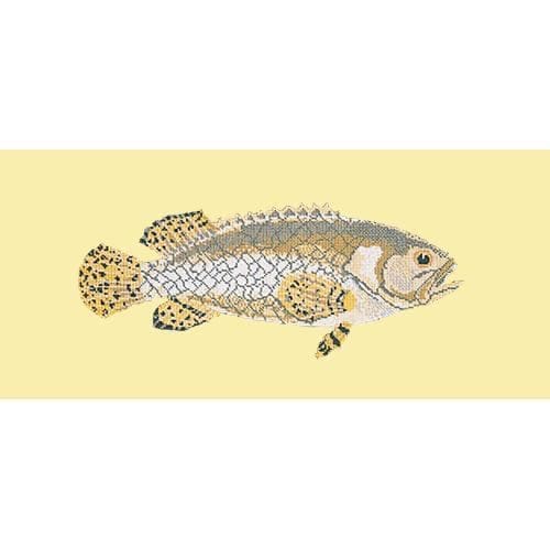 Brindled Grouper - NEEDLEWORK KITS