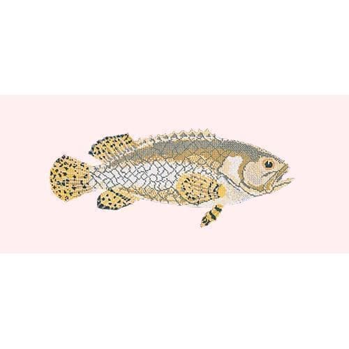 Brindled Grouper - NEEDLEWORK KITS