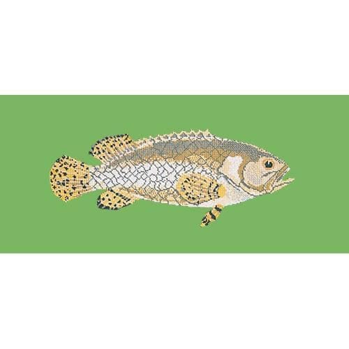 Brindled Grouper - NEEDLEWORK KITS