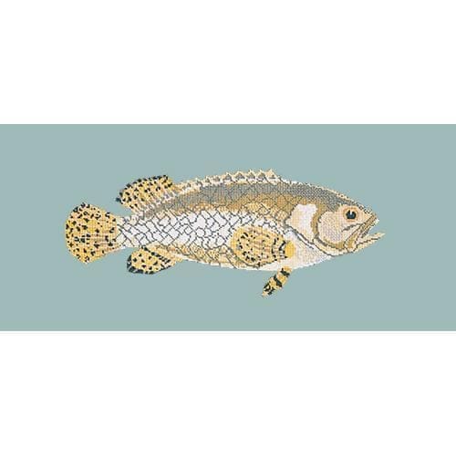 Brindled Grouper - NEEDLEWORK KITS