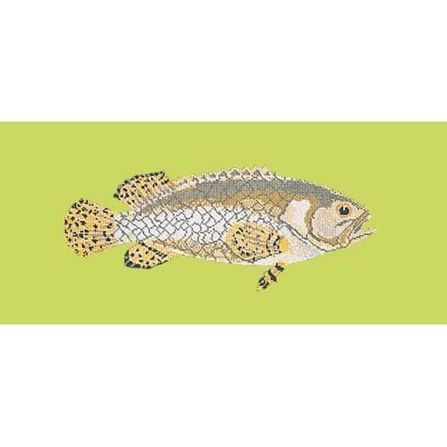 Brindled Grouper - NEEDLEWORK KITS