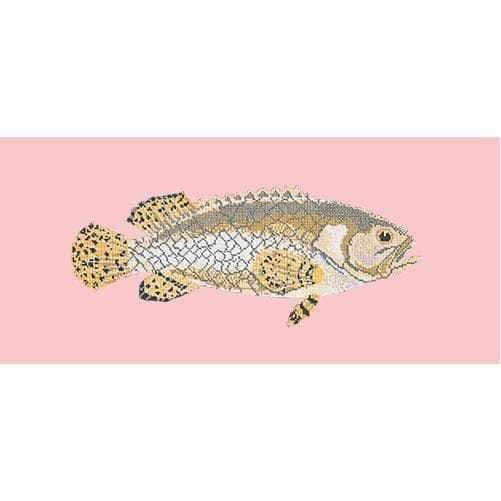 Brindled Grouper - NEEDLEWORK KITS
