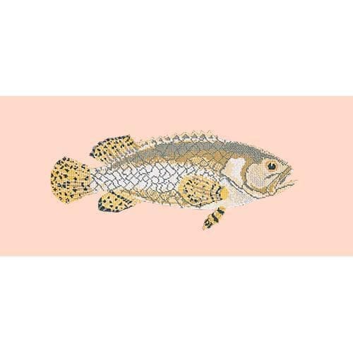 Brindled Grouper - NEEDLEWORK KITS