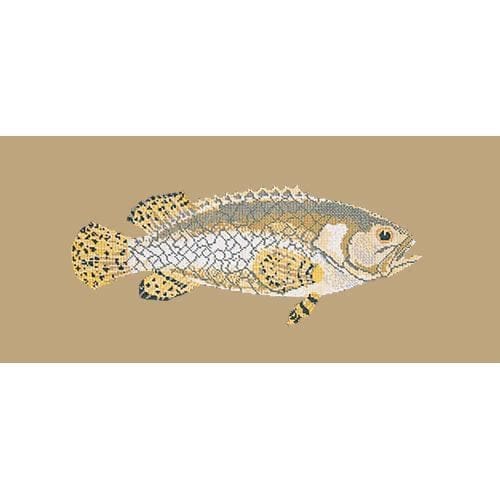 Brindled Grouper - NEEDLEWORK KITS