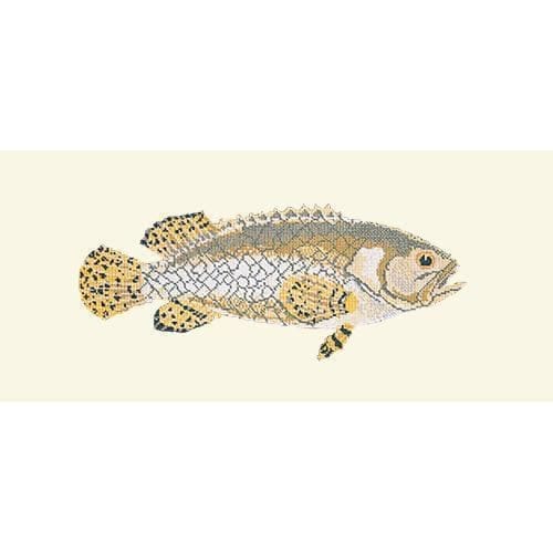 Brindled Grouper - NEEDLEWORK KITS