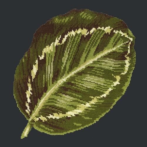 Calathea Leaf - NEEDLEWORK KITS