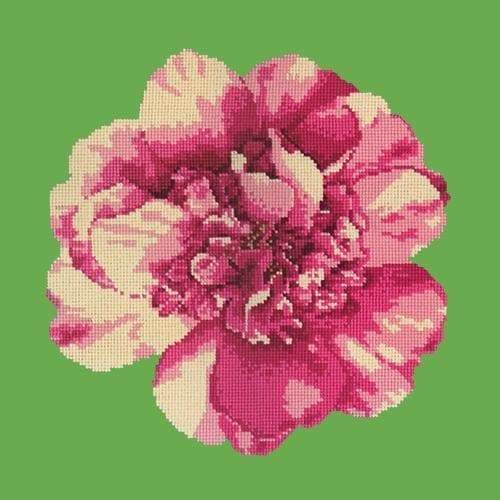 Camellia Blossom - NEEDLEWORK KITS
