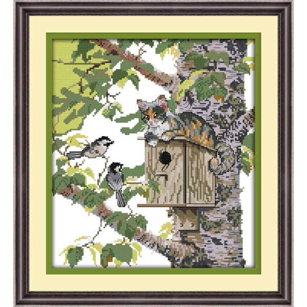 Cat and birds