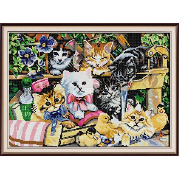 Cat family