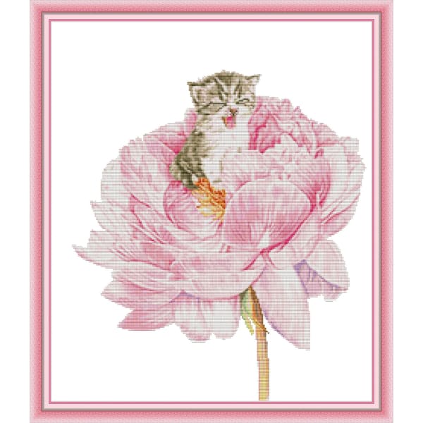 Cat in the flower 2