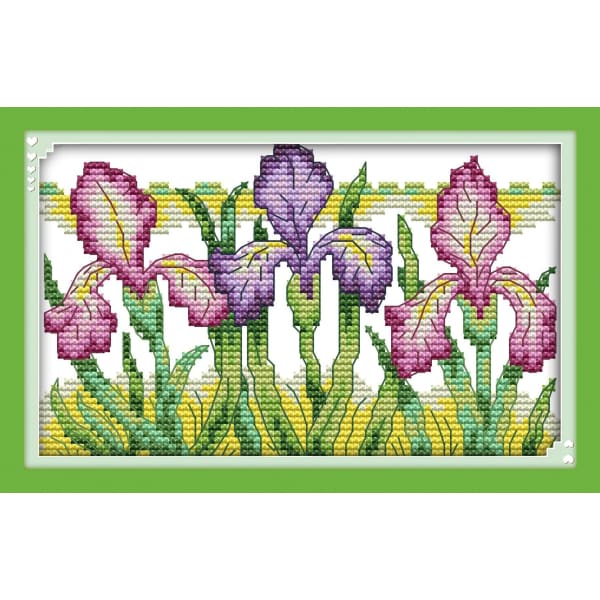 Gorgeous iris