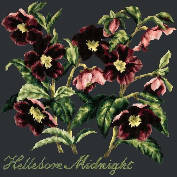 Hellebore Midnight - NEEDLEWORK KITS
