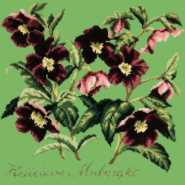 Hellebore Midnight - NEEDLEWORK KITS