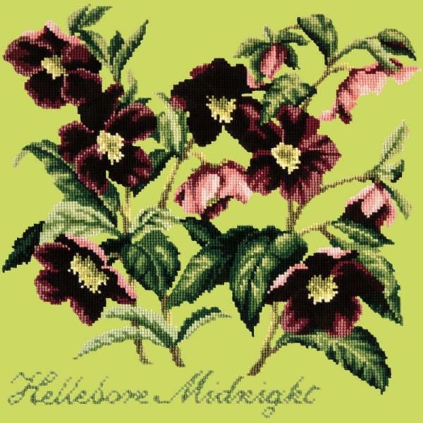 Hellebore Midnight - NEEDLEWORK KITS