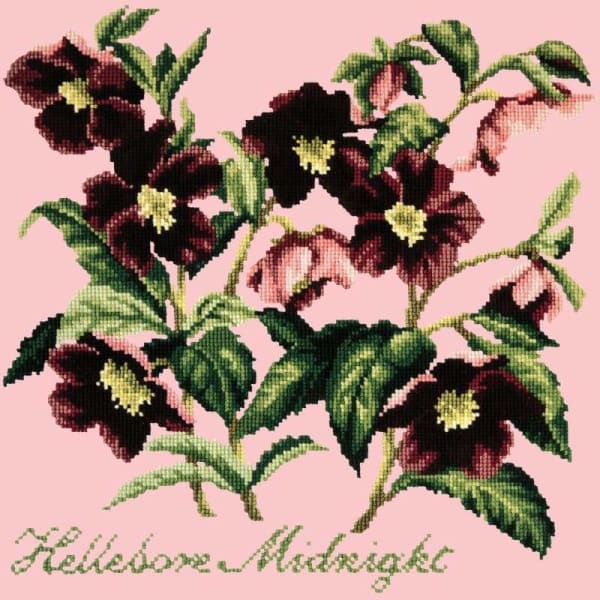Hellebore Midnight - NEEDLEWORK KITS