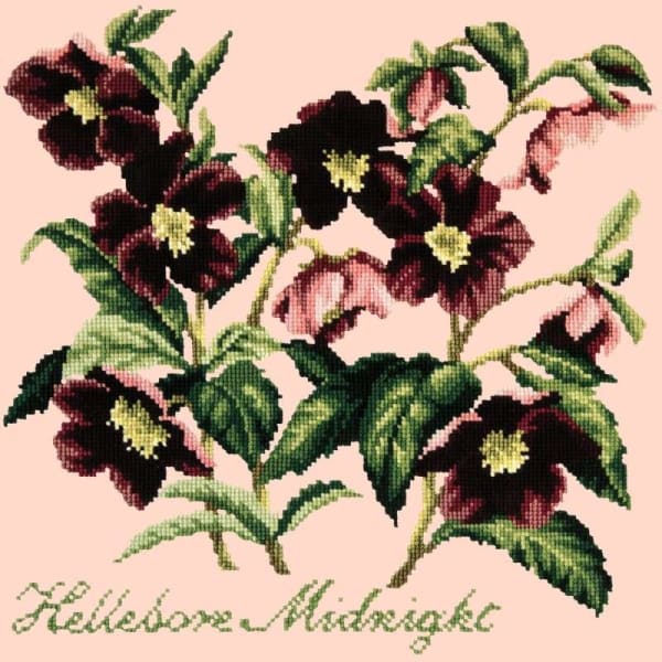 Hellebore Midnight - NEEDLEWORK KITS