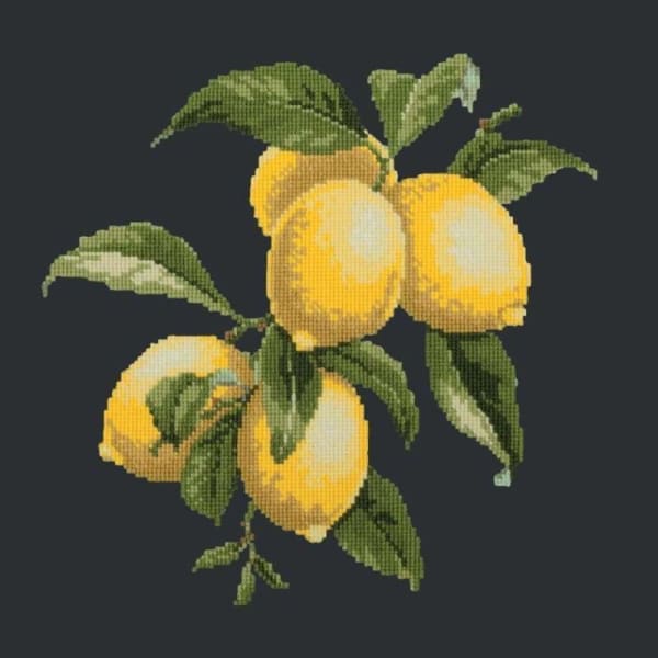 Lemons - NEEDLEWORK KITS