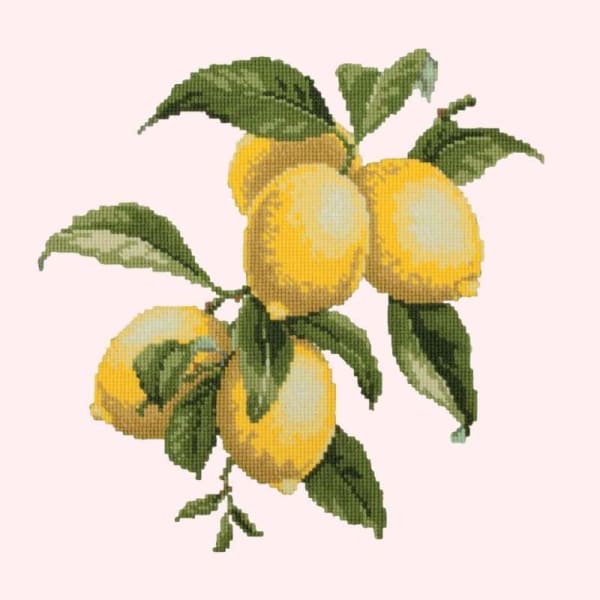 Lemons - NEEDLEWORK KITS