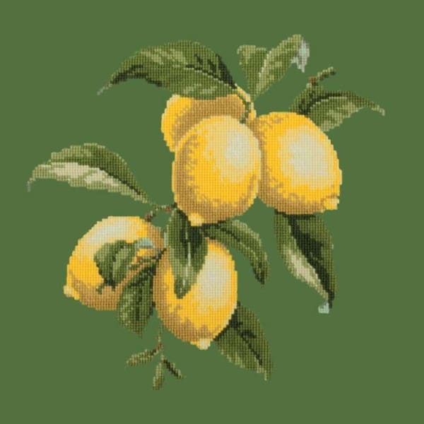 Lemons - NEEDLEWORK KITS