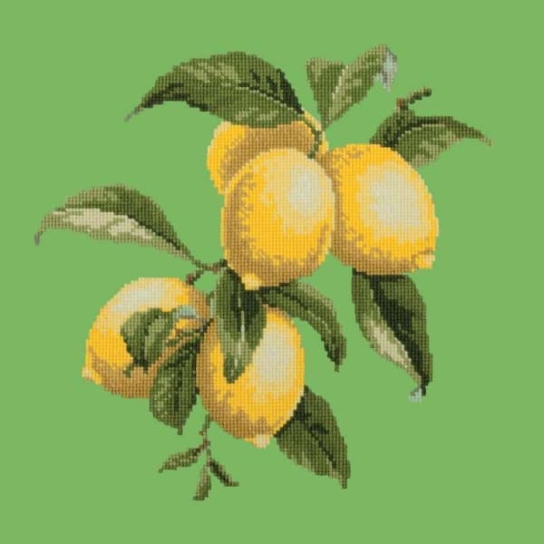 Lemons - NEEDLEWORK KITS