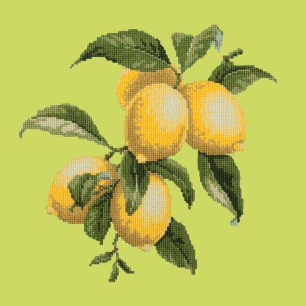Lemons - NEEDLEWORK KITS