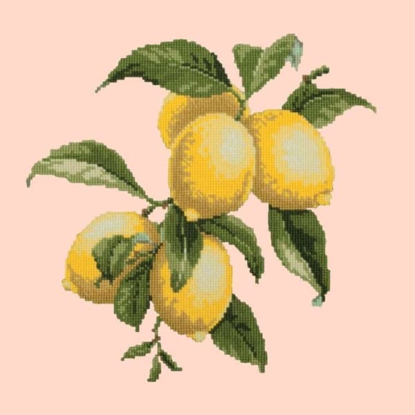 Lemons - NEEDLEWORK KITS
