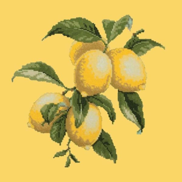 Lemons - NEEDLEWORK KITS