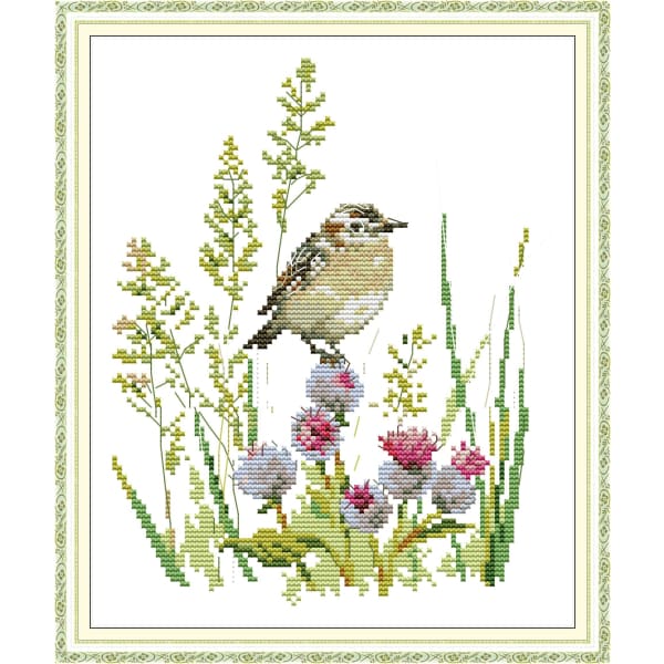 Little bird