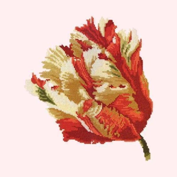 Parrot Tulip - NEEDLEWORK KITS