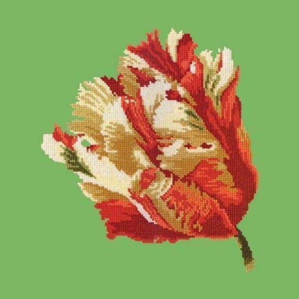 Parrot Tulip - NEEDLEWORK KITS