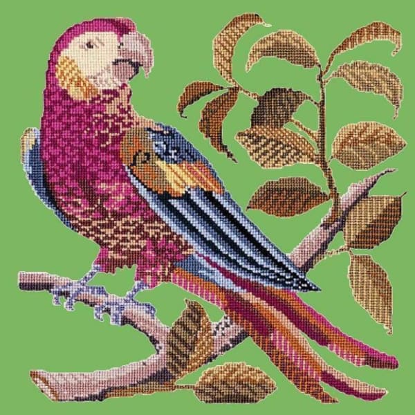 Pete the Parrot - NEEDLEWORK KITS