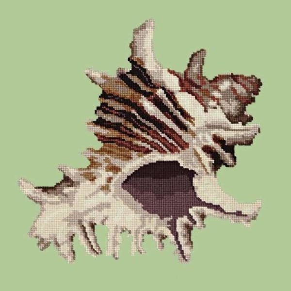 Spiky Conch - NEEDLEWORK KITS