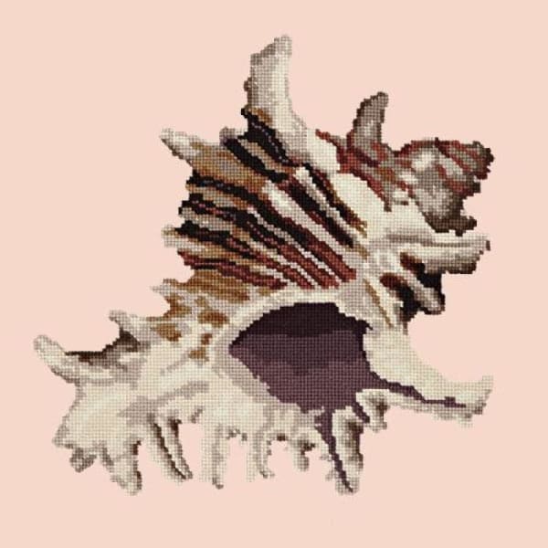 Spiky Conch - NEEDLEWORK KITS