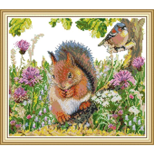 Squirrel and bird