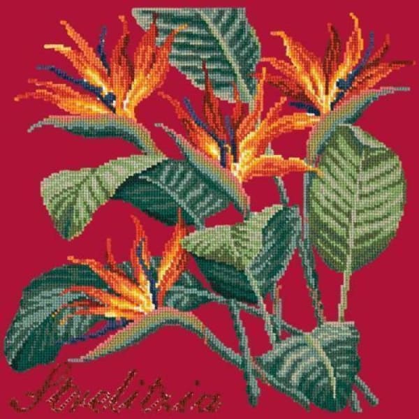 Strelitzia (Bird of Paradise) - NEEDLEWORK KITS